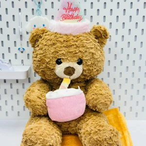 پتو بالشتی خرسی تولدی Happy Birthday